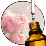 Dorinia BASE FIRMENICH