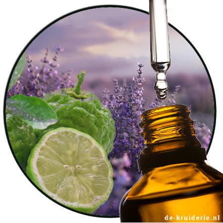 Ethyl Linalool DSM