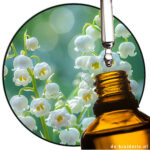 Lysmeral® Extra (BASF) AC