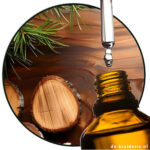 Sylvamber™ (Firmenich) AC