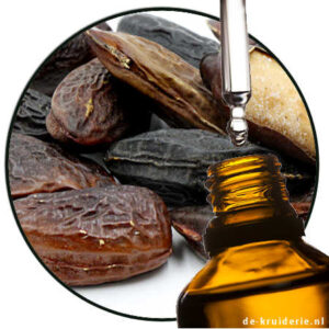 Tonka bean Dipteryx odorata essential oil