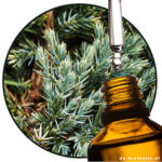 Jeneverbes-hout etherische olie