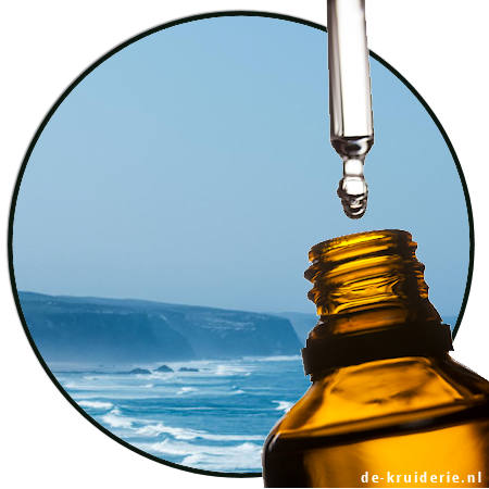 Intreleven Aldehyde IFF