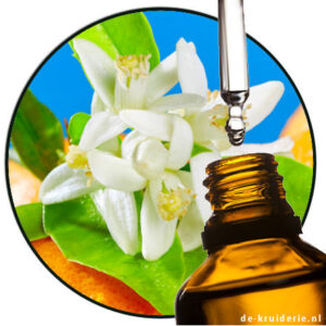 neroli oranjebloesem etherische olie
