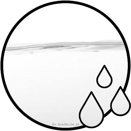 DOWANOL DE / DEGEE DOWANOL DE / DEGEE