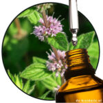 POLEIMUNT etherische olie