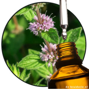 POLEIMUNT etherische olie