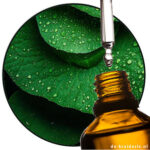 Methyl Octine Carbonate