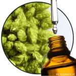 hop co2-extract