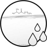 isopropyl myristrate IPM