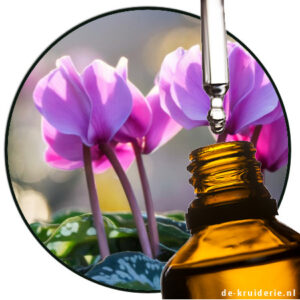 CYCLAMEN ETHERISCHE OLIE