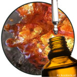 alpha Gurjunene 80 natural