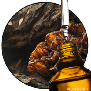 boisambrene forte kao