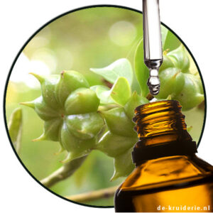 Jasmacyclene cyclacet