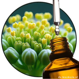 galbanum etherische olie