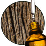 norlimbanol Firmenich