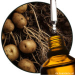 Aardappel Pyrazine geurstof