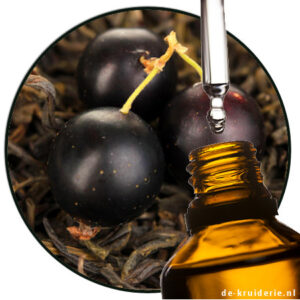 DELTA DAMASCONE GEURSTOF