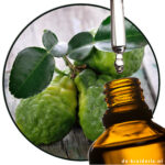 bergamot calabria etherische olie de-kruiderie.nl