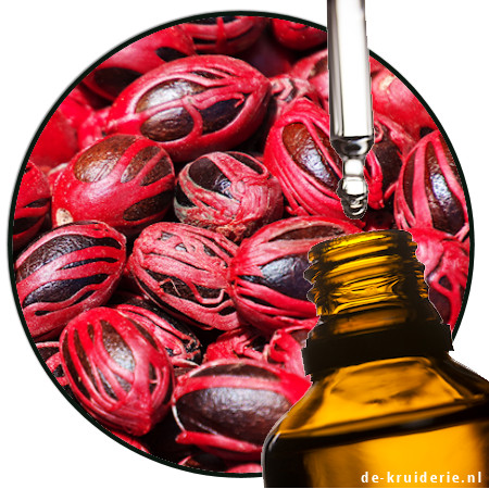 foelie etherische olie de-kruiderie.nl