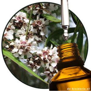 fragonia etherische olie