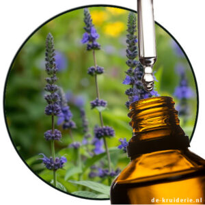 hyssop etherische olie de-kruiderie.nl