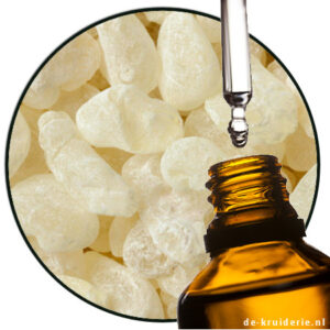 mastiek zuivere etherische olie de-kruiderie.nl