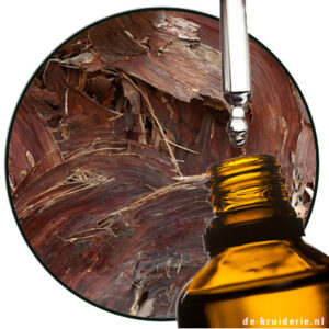 vertofix methyl cedryl ketone