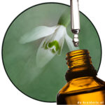 Nympheal™ (Givaudan) AC