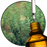 thymol natuurlijk isolaat