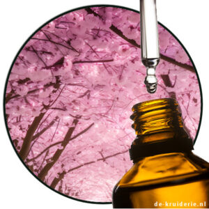 Sakura Salicylate - TAKASAGO