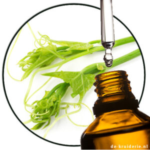 CORTEX ALDEHYDE 50 IFF