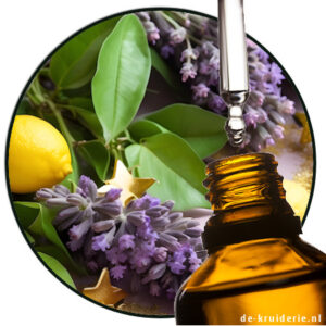 Linalool Couer symrise