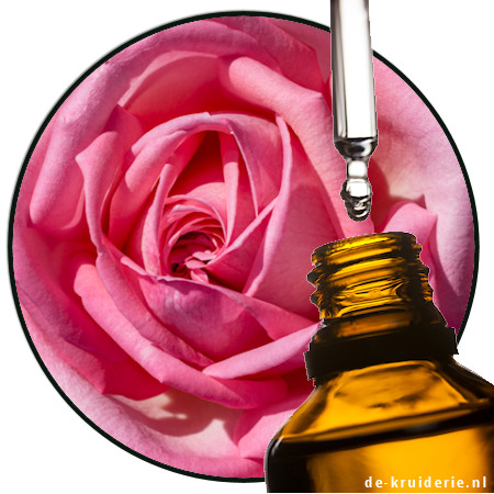 PHENOXANOL IFF