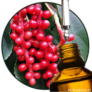 Schisandra sphenanthera CO₂Extract