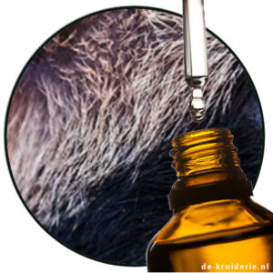 civet floraline Robertet