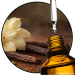 vanilla infusion madagascar robertet