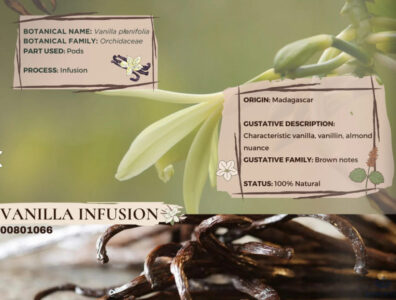 vanilla infusion madagascar robertet pic