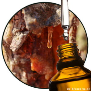 aMBREINE BIOLANDES