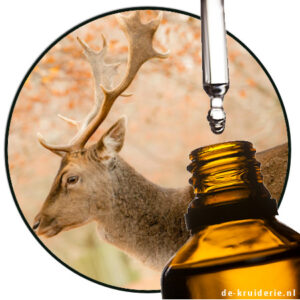 laevomuscone takasago