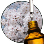 para-Methyl Acetofenon