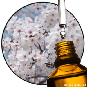 para-Methyl Acetofenon