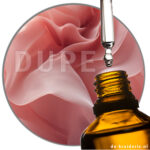 Élan Rose Inspired by Rose The One