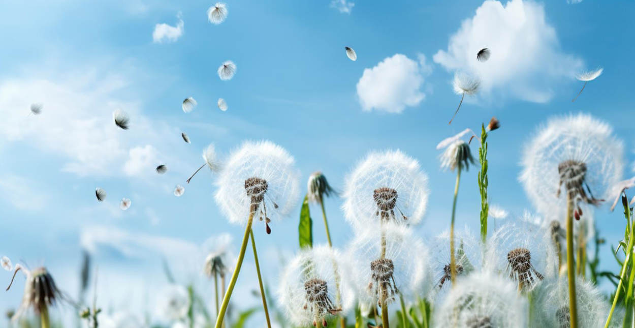 aldehyden uitgelegd de-kruiderie.nl