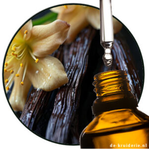 vanille oleoresin 10voudig