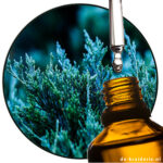 blauwe-cipres-australische-etherische-olie