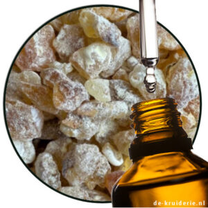 boswelliafrereana