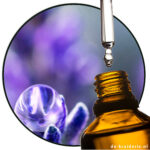 linalool-basf-high-purity