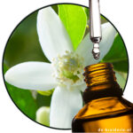 neroli-oranjebloesem-etherische-olie-Egypte