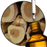 sandelhout-santalum-album-oost-india-etherische-olie